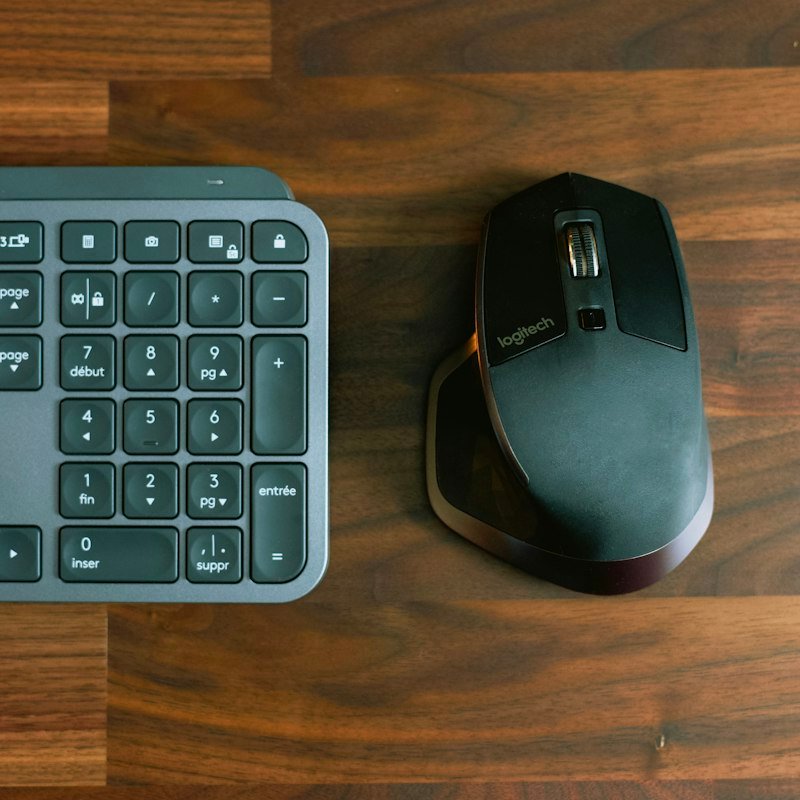 Wireless Mouse